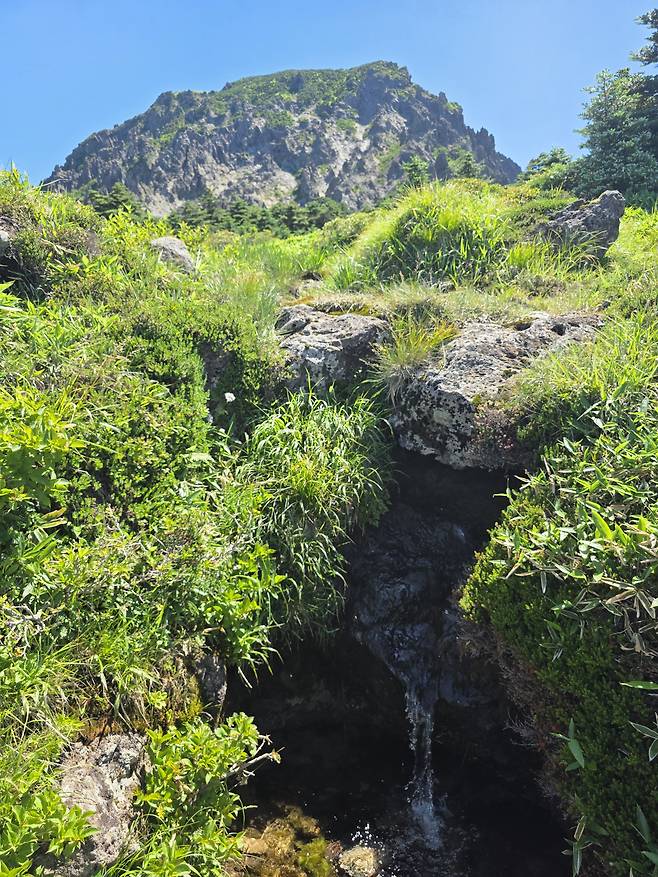 해발 1,675미터, 한라산 정상 부근에 있는 백록샘.