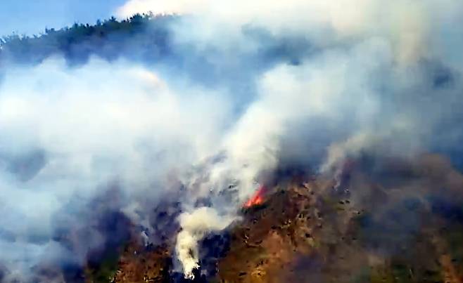 전날 오후 1시께 충북 영동군 양강면 죽촌리에 있는 야산에서 불이 난 당시 모습. /사진=산림청