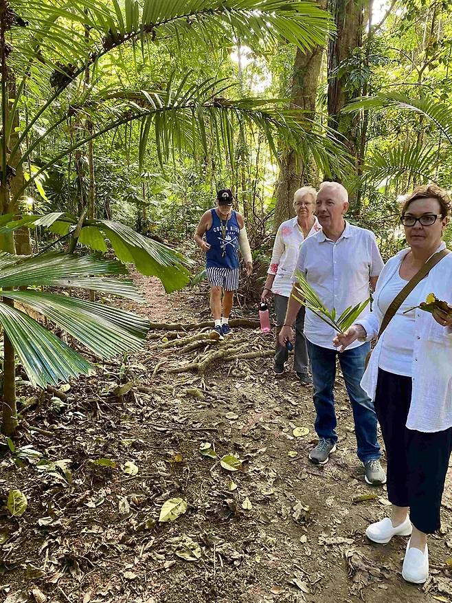 데인트리 열대우림 커넥션 워크 투어 / 사진=호주관광청