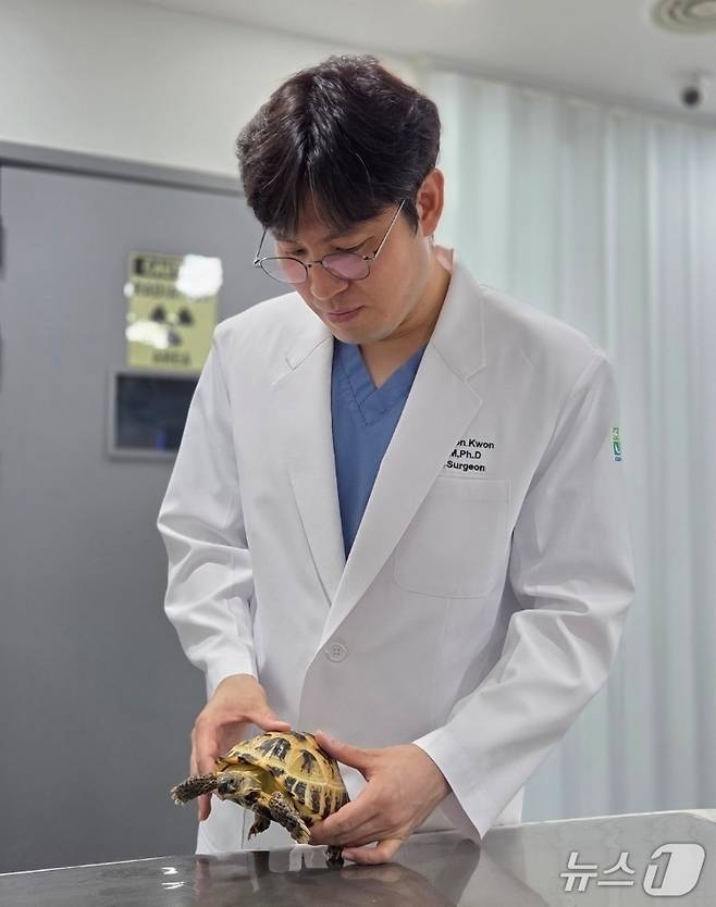 거북이 진료를 하고 있는 권재연 수의사(최영민동물의료센터 제공) ⓒ 뉴스1