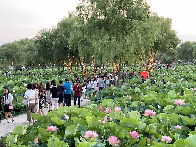 부여서동축제/사진-부여군