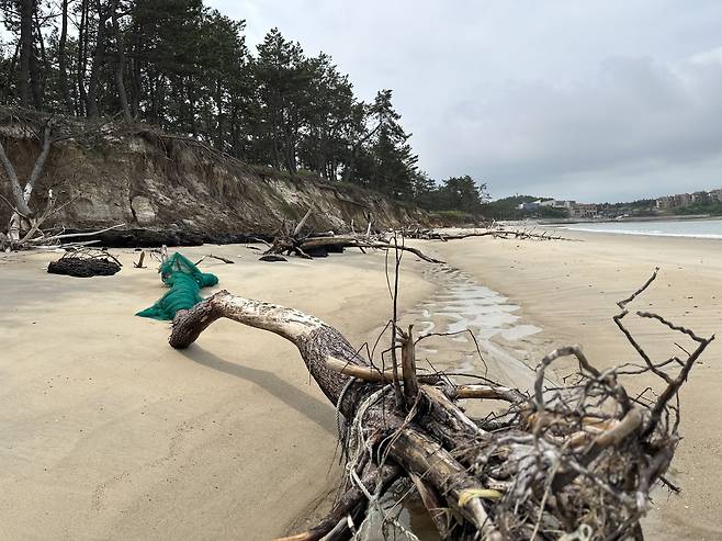 신안군 증도 우전해수욕장이 해안 침식으로 인해 피해를 입은 모습. 천권필 기자