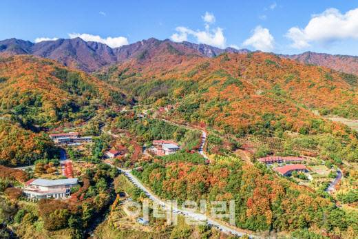 경북 영주의 국립산림치유원 전경. (사진=국립산림치유원 제공)