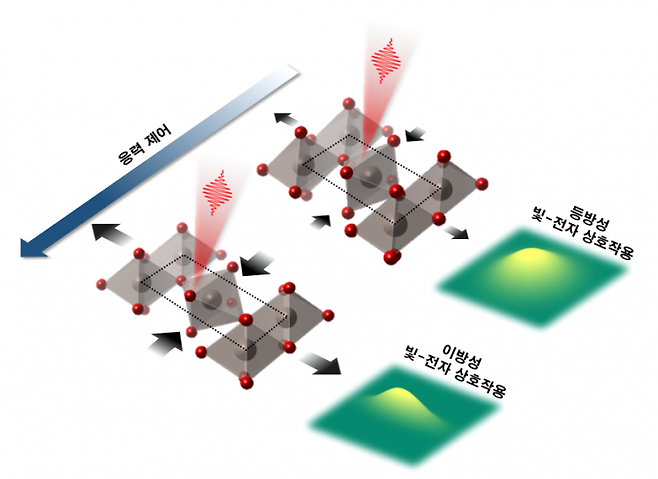 루테늄 산화물에 대한 응력 조절을 통한 빛-전자 상호작용의 이방성 조절.