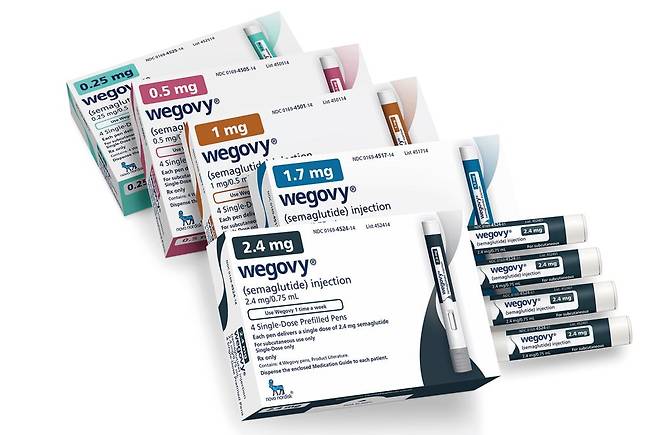 비만 치료제 위고비 /노보 노디스크