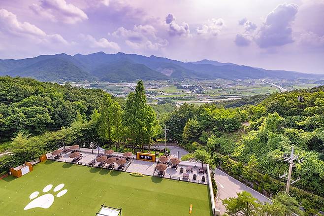 켄싱턴리조트 충주 펫파크. 사진=이랜드파크