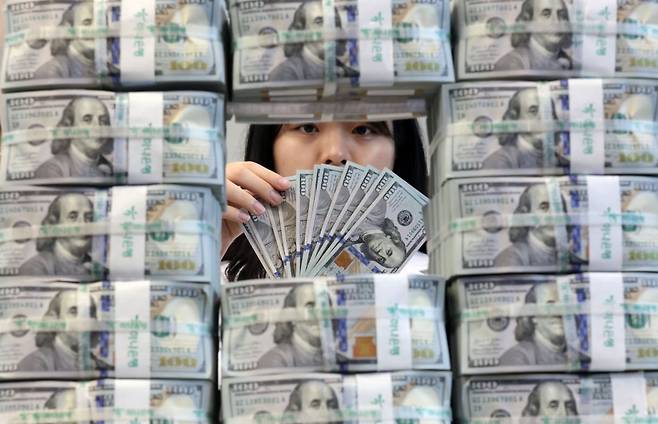 하나은행 위변조센터 달러 화폐 지폐 / 사진=연합뉴스