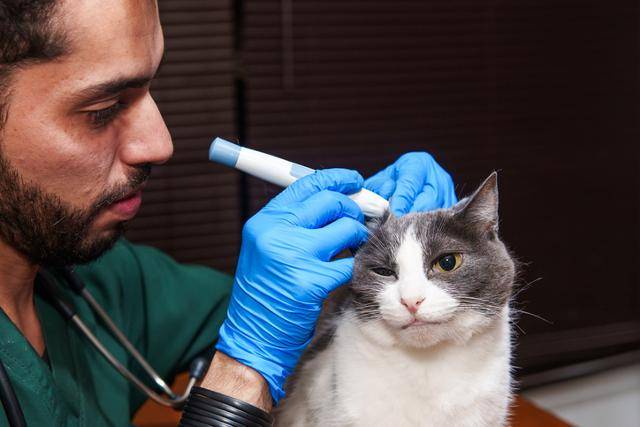 게티이미지뱅크