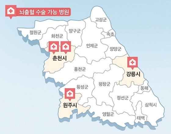 강원도 뇌출혈 치료 인프라. /그래픽=김민선
