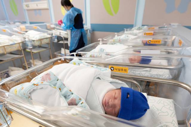 사진은 기사 내용과 무관함. 뉴스1