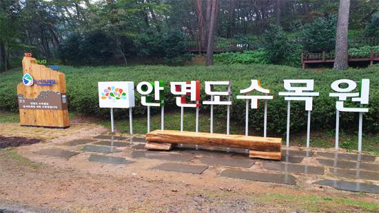 안면도 수목원. 충남도 산림자원연구소 태안사무소 제공.