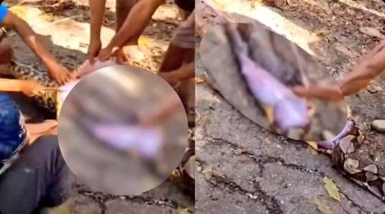 인도 현지 매체 'SatyamevTimes' 의 X(엑스·옛 트위터) 캡처