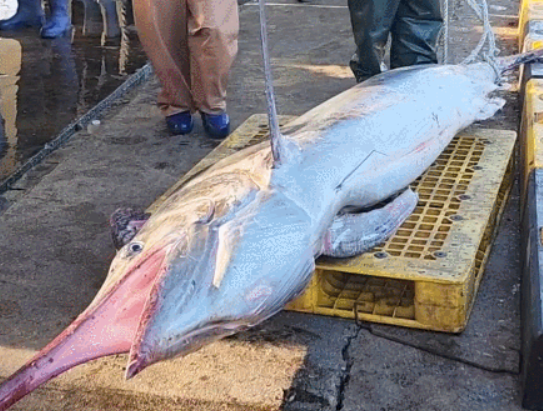 삼척시의회 정연철 시의원 페이스북