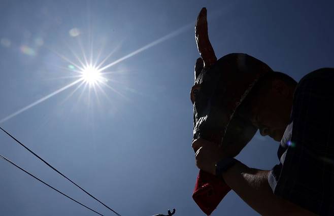 10일 서울 국정기획위원회 앞에서 열린 \'\'국립공원 케이블카 전면 백지화\'\' 요구 기자회견에서 한 참석자가 동물 탈을 쓴 채 참석해 있다. 연합뉴스