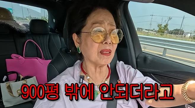 채널 ‘순풍 선우용여’ 캡처