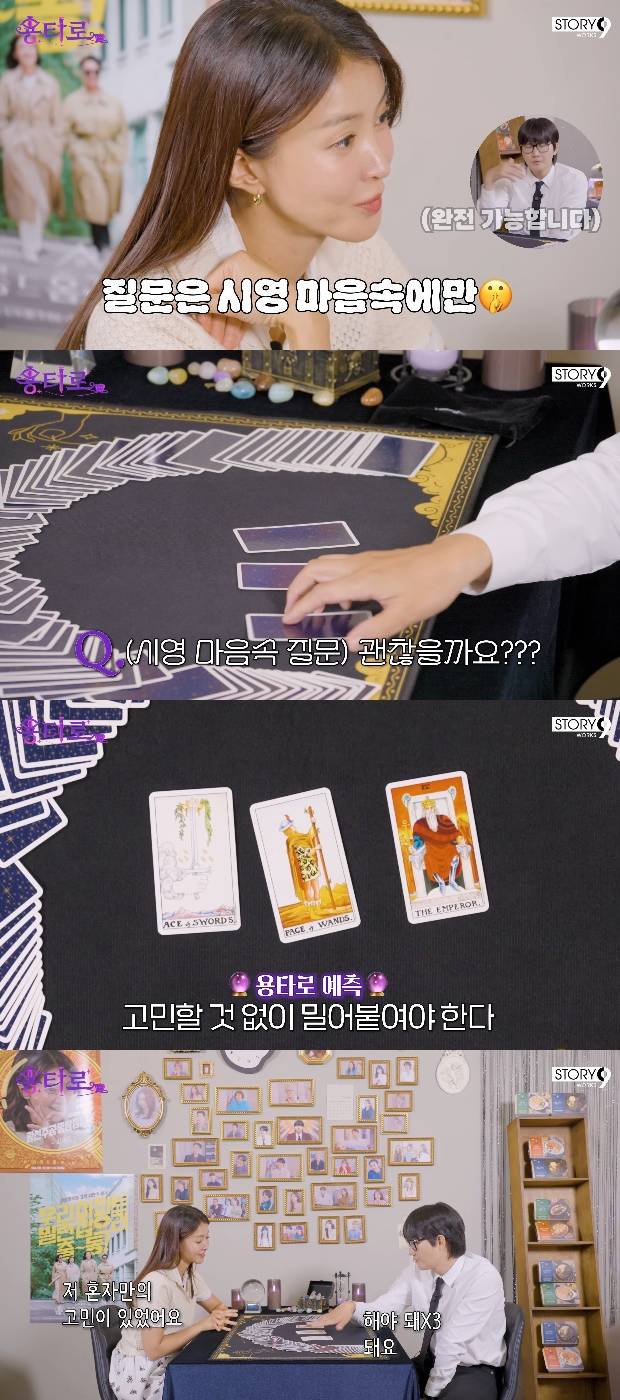 티브이데일리 포토