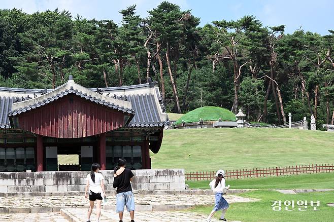 9일 오후 화성시 융건릉에 지난 겨울 폭설로 부러진 소나무가 죽어가는 채 방치되고 있다. 2025.7.9 /임열수기자 pplys@kyeongin.com