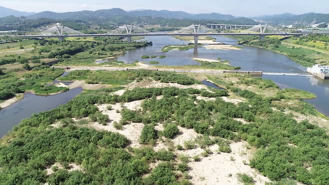 문재인 정부 들어 개방된 세종보의 2022년 모습. 한겨레 자료 사진.