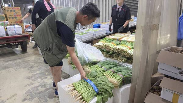 11일 인천 남동구 남촌농산물도매시장에서 여름철 인기가 많은 열무를 사고 있다. 장민재 기자