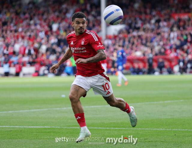 모건 깁스화이트./게티이미지코리아