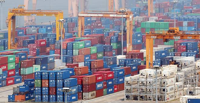 8일 경기 평택시 포승읍 평택항에 수출용 컨테이너들이 세워져 있는 모습. /뉴스1