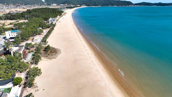 아시아 최초로 국제환경교육재단(FEE)의 ‘블루 플래그(Blue Flag)’를 8년 연속 인증받은 전남 완도군 신지의 명사십리해수욕장 전경. 명사십리는 ‘블루 플래그’ 인증을 받은 전 세계 해수욕장 5042곳 중 상위 10곳을 뽑는 ‘스페셜 멘션(Special mention)’에도 선정됐다. 사진 완도군