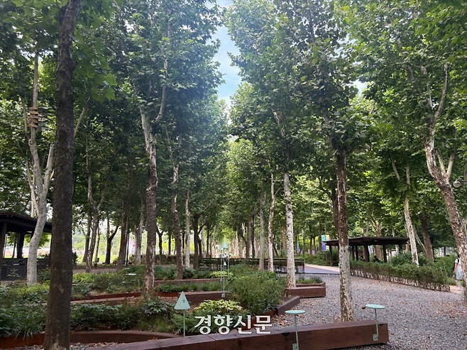 오랜 플라타너스 길도 정원으로 탈바꿈했다. 이양희 오세훈 작가의 ‘제3의 플라타너스 숲(The Third Platanus Forest)’