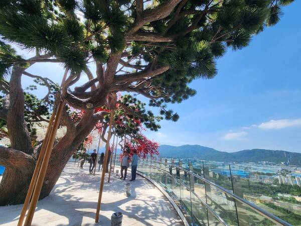 창원시 공공건축가 10여 명이 11일 창원 의창구 두대동 대상공원 '빅트리' 전망대 현장을 둘러보고 있다./우귀화 기자