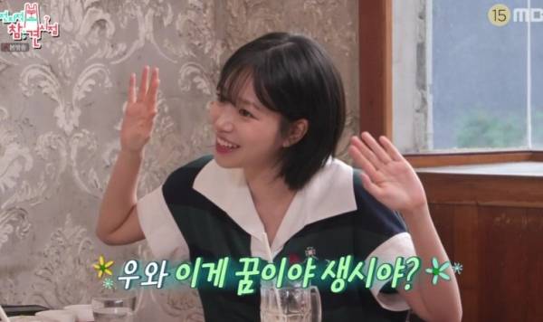 ⓒMBC '전지적 참견 시점' 방송 캡처