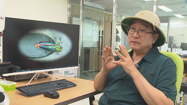 그간 연구 내용과 우화 과정 포착 당시를 설명하는 이대암 천연기념물곤충연구센터장