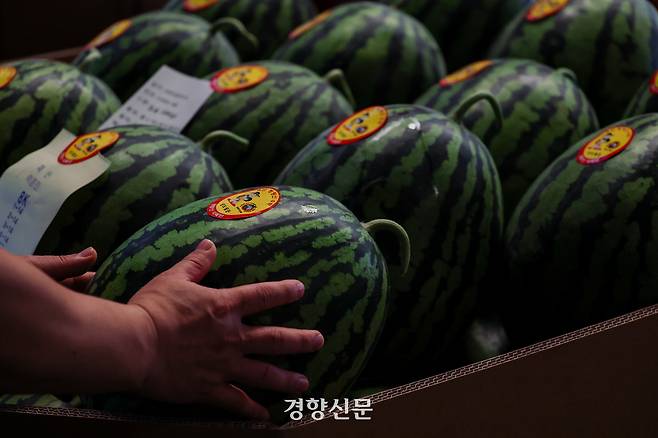 서울 강서 청과물 시장에 수박과 참외 복숭아 등 여름과일이 놓여있다. 이준헌 기자