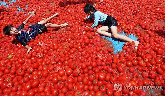 토마토 속으로 풍덩 (경기 광주=연합뉴스) 홍기원 기자 = 지난달 22일 경기도 광주시 퇴촌면 광동로 일원에서 열린 '제23회 퇴촌토마토 거리축제'에서 '황금 토마토를 찾아라' 이벤트에 참가한 어린이들이 토마토 풀장에서 즐거워하고 있다. 2025.7.11.