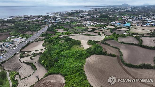 제주 한동리 단지모살 해안사구 (제주=연합뉴스) 박지호 기자 = 제주시 구좌읍 한동리 단지모살. 해변에서 떨어진 육지에 있지만 마치 모래 해변과 같은 모습이다. 2025.7.13. jihopark@yna.co.kr