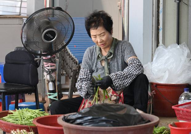 장날을 맞은 지난 11일 나주시 남평읍 남평5일시장에서 상인들이 부채와 선풍기로 더위를 식히며 손님을 기다리고 있다. /나명주 기자 mjna@kwangju.co.kr