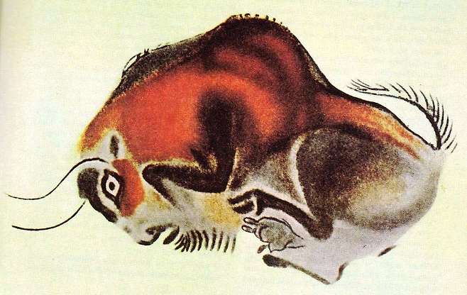 구석기 시대의 대표적인 동굴 ‘알타미라 동굴’ 천장에서 발견된 벽화의 들소. 상처 입은 들소를 표현한 이 그림은 생동감 넘치는 묘사와 선명한 색채감 등으로 현대 작품과 비교해도 손색이 없다. 출처 위키피디아