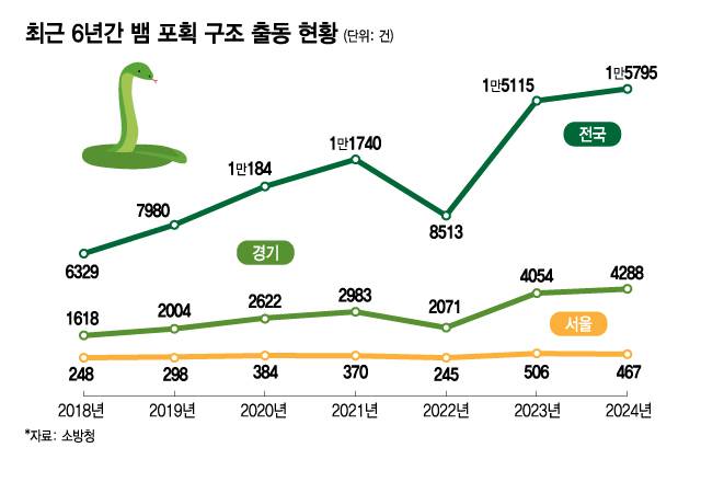 뱀 포획 전국 신고 건수는 2023년에 이어 지난해에도 1만5000건 이상을 기록했다. 소방청에 따르면 지난해 출동 건수는 1만5795건으로 6년 전과 비교했을 때 150% 증가한 수준이다./시각물=김지영 디자인 기자.
