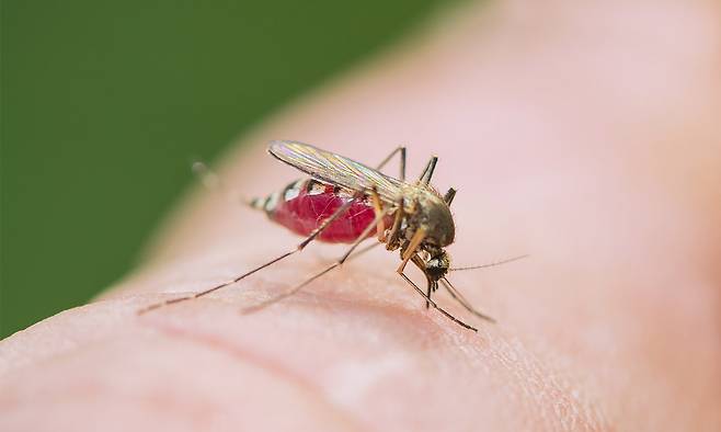 사진=게티이미지뱅크