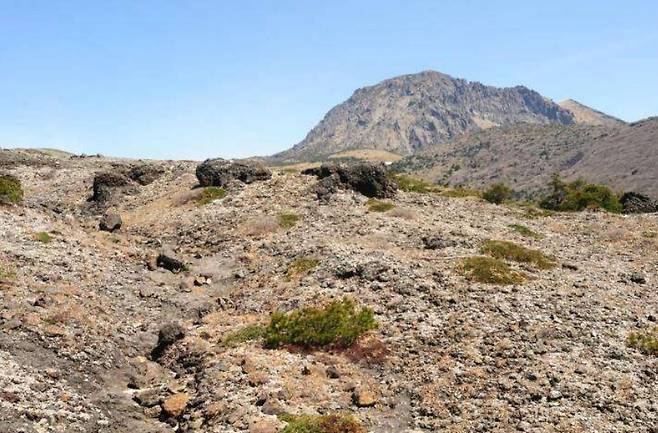 한라산 모세왓 유문암질 각력암 지대. 국가유산청 제공