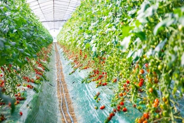 /사진=게티이미지뱅크