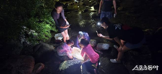 충북 단양군의 대표 캠핑 명소인 다리안관광지에서 자연과 함께하는 ‘힐링 캠핑 워케이션’ 프로그램이 진행돼 참가자들로부터 큰 호응을 얻고 있다(캠핑스쿨 모습). 사진제공|단양관광공사