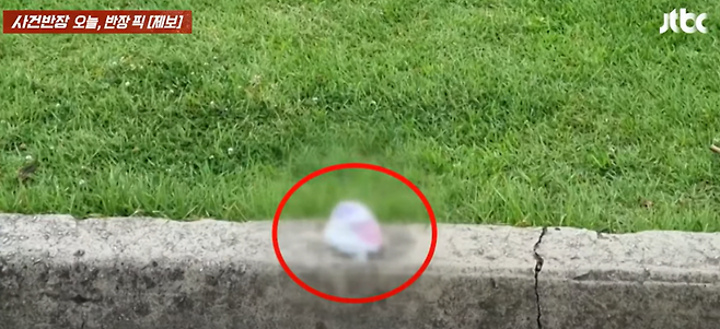 /사진=JTBC 사건반장 갈무리