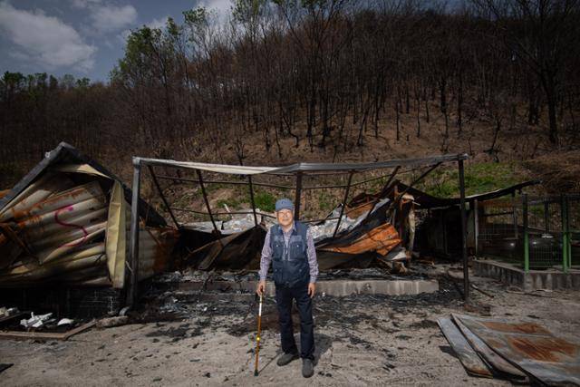 류건수가 산불로 전소된 자택 앞에서 지팡이를 짚고 서 있다. 안동=남동균 인턴기자