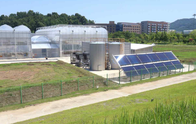 15일 전북 전주시 농촌진흥청 국립농업과학원 내 한국기계연구원 스마트 온실 실증시설과 온실 삼중 열병합 발전 시스템 시설. 사진 제공=한국기계연구원