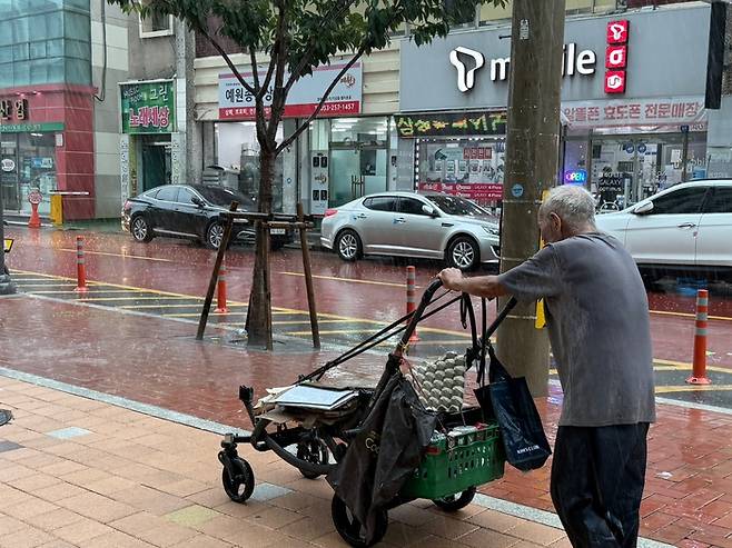 17일 오후 1시쯤 중구 동인동의 한 고물상 인근 주택가에서는 박성필(76)씨가 유모차를 개조한 손 수레에 젖은 박스를 모으고 있다. 구경모 기자