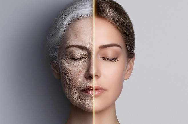 노화는 단순한 개인의 노력 차원이 아니라 사회적, 경제적, 정치적인 외부 요인에 크게 영향을 받는다는 연구 결과가 나왔다. 픽사베이 제공