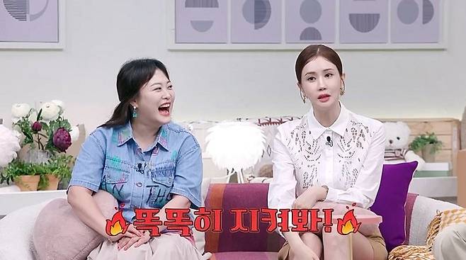 사진|채널A