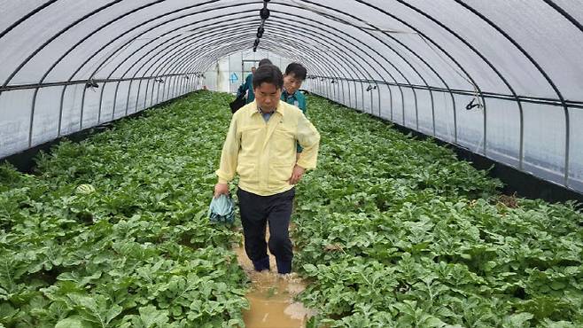 수박하우스 침수 현장 둘러보는 박정현 부여군수 (사진=충남 부여군)