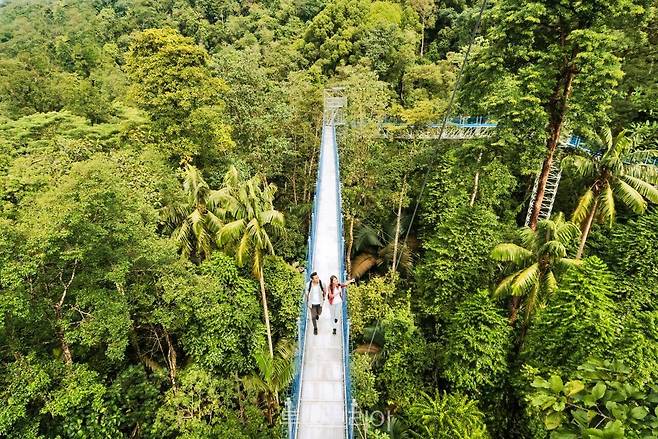 말레이시아 FRIM 셀랑고르 포레스트 파크/사진-말레이시아관광청