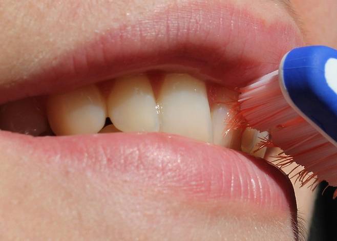 치아 건강 자료 이미지. /픽사베이