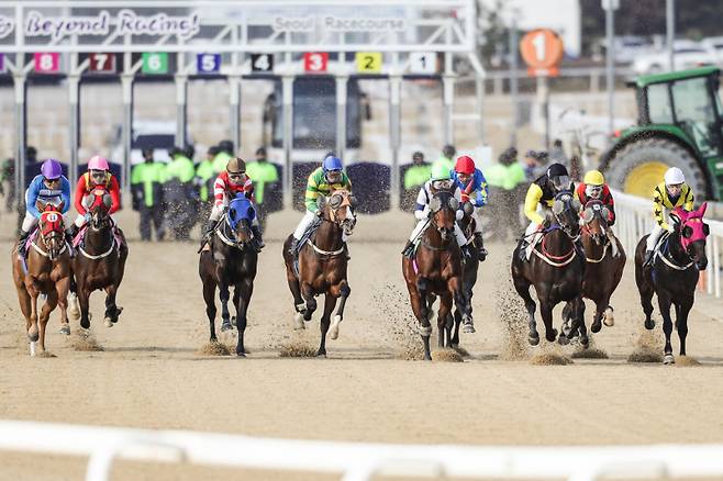 말들이 경주하는 모습. 사진=한국마사회
